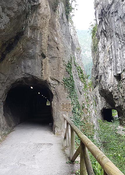 Tuneles que atraviesan la senda del oso, una ruta ideal para familias